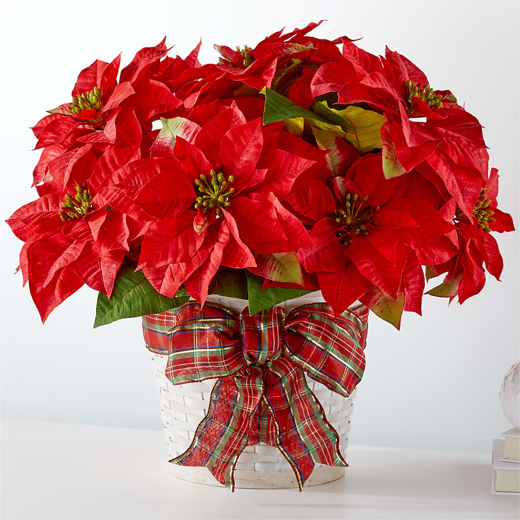 Happiest Holidays Poinsettia – Colchester Florist, Colchester CT