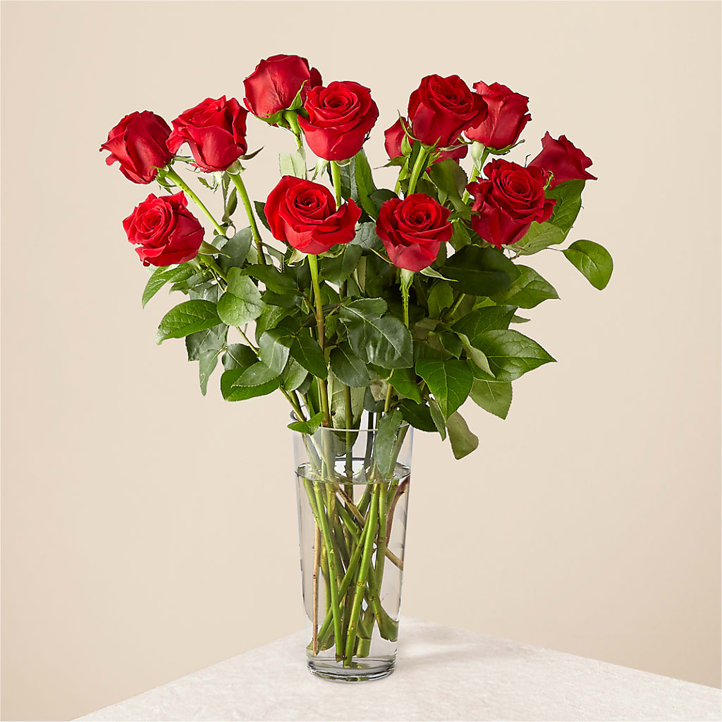 Long Stem Red Rose Bouquet – Colchester Florist, Colchester CT