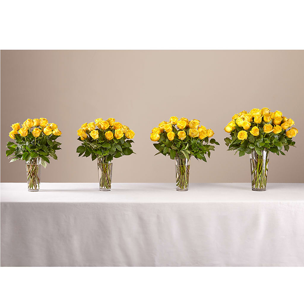 Long Stem Yellow Rose Bouquet – Colchester Florist, Colchester CT