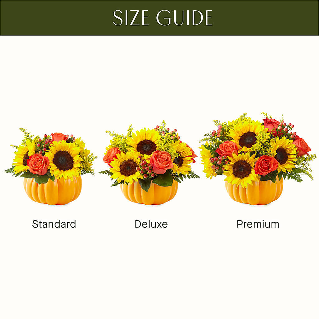 Pick of the Patch Pumpkin Bouquet – Colchester Florist, Colchester CT