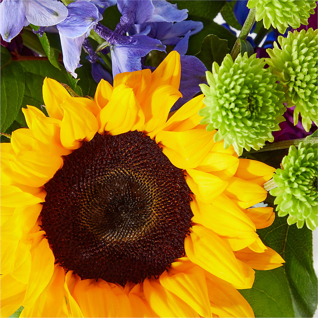 Catching Rays Bouquet – Colchester Florist, Colchester CT
