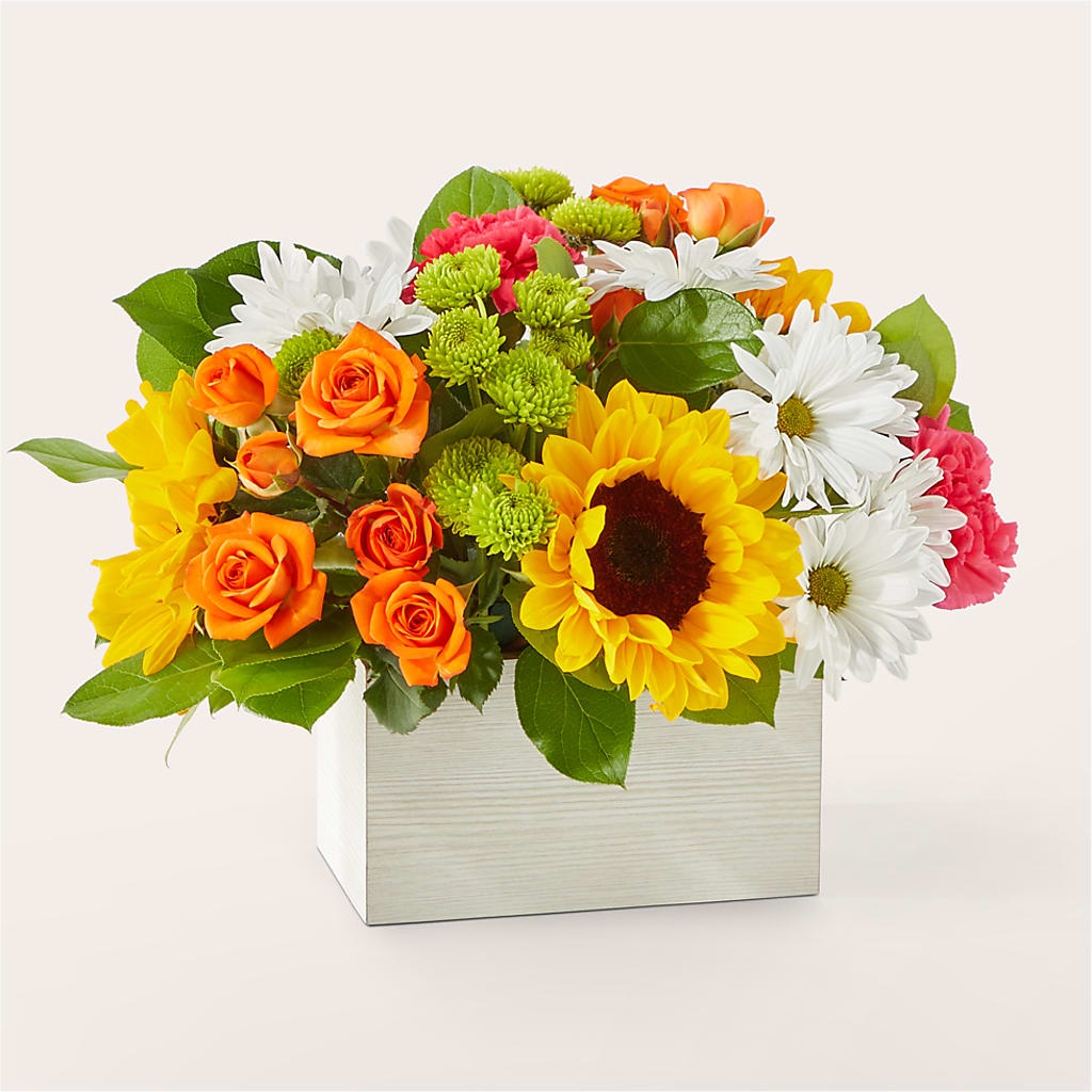 Sun-drenched Blooms Box Bouquet – Colchester Florist, Colchester CT