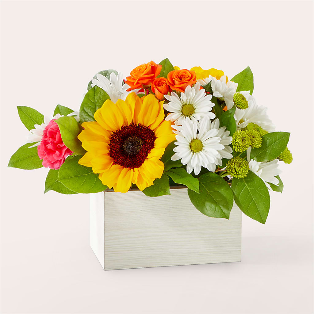 Sun-drenched Blooms Box Bouquet – Colchester Florist, Colchester CT