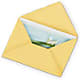 Greeting Card – Colchester Florist, Colchester CT