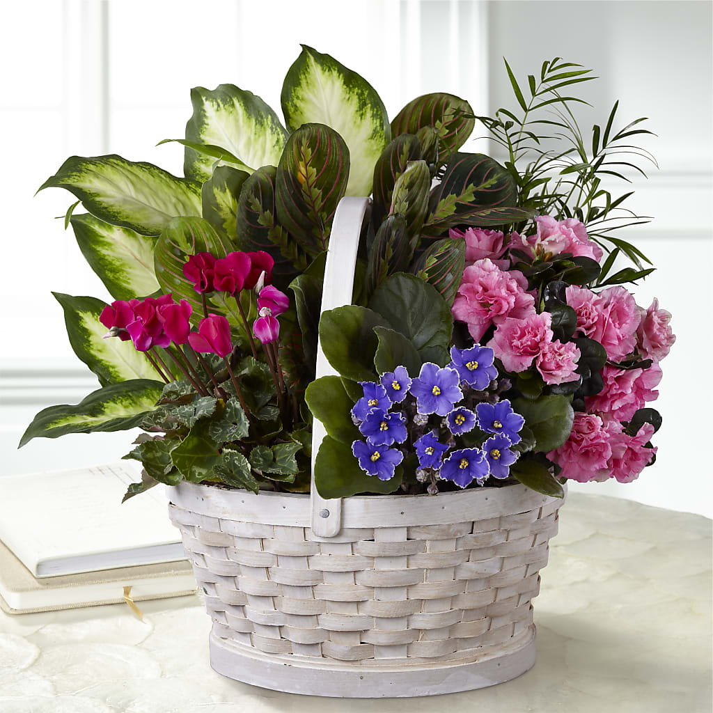 Peaceful Garden Planter – Colchester Florist, Colchester CT