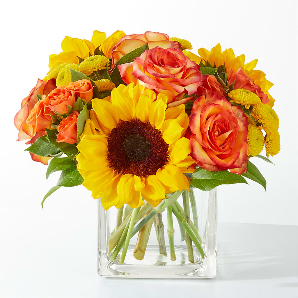 Picnic in the Park Bouquet – Colchester Florist, Colchester CT