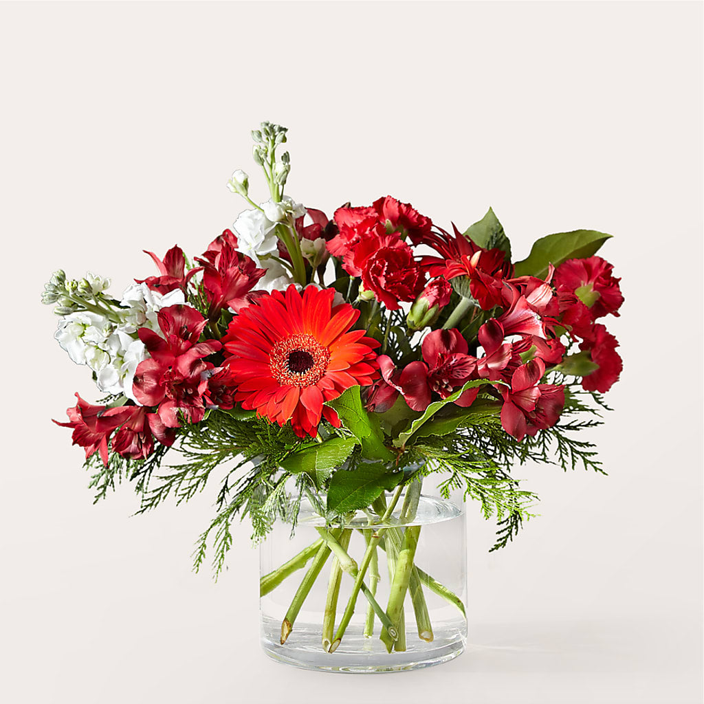 Holidaisy Bouquet – Colchester Florist, Colchester CT