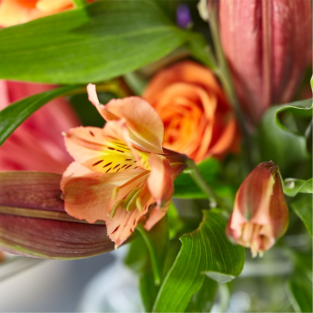 Bold & Bright – A Florist Original –  Colchester Florist, Colchester CT