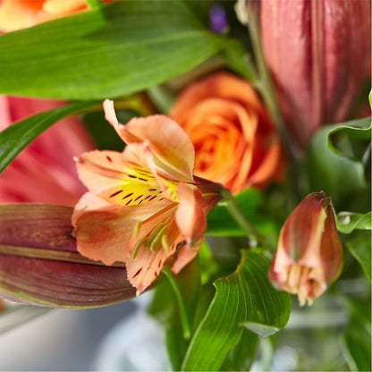 Bold & Bright – A Florist Original –  Colchester Florist, Colchester CT