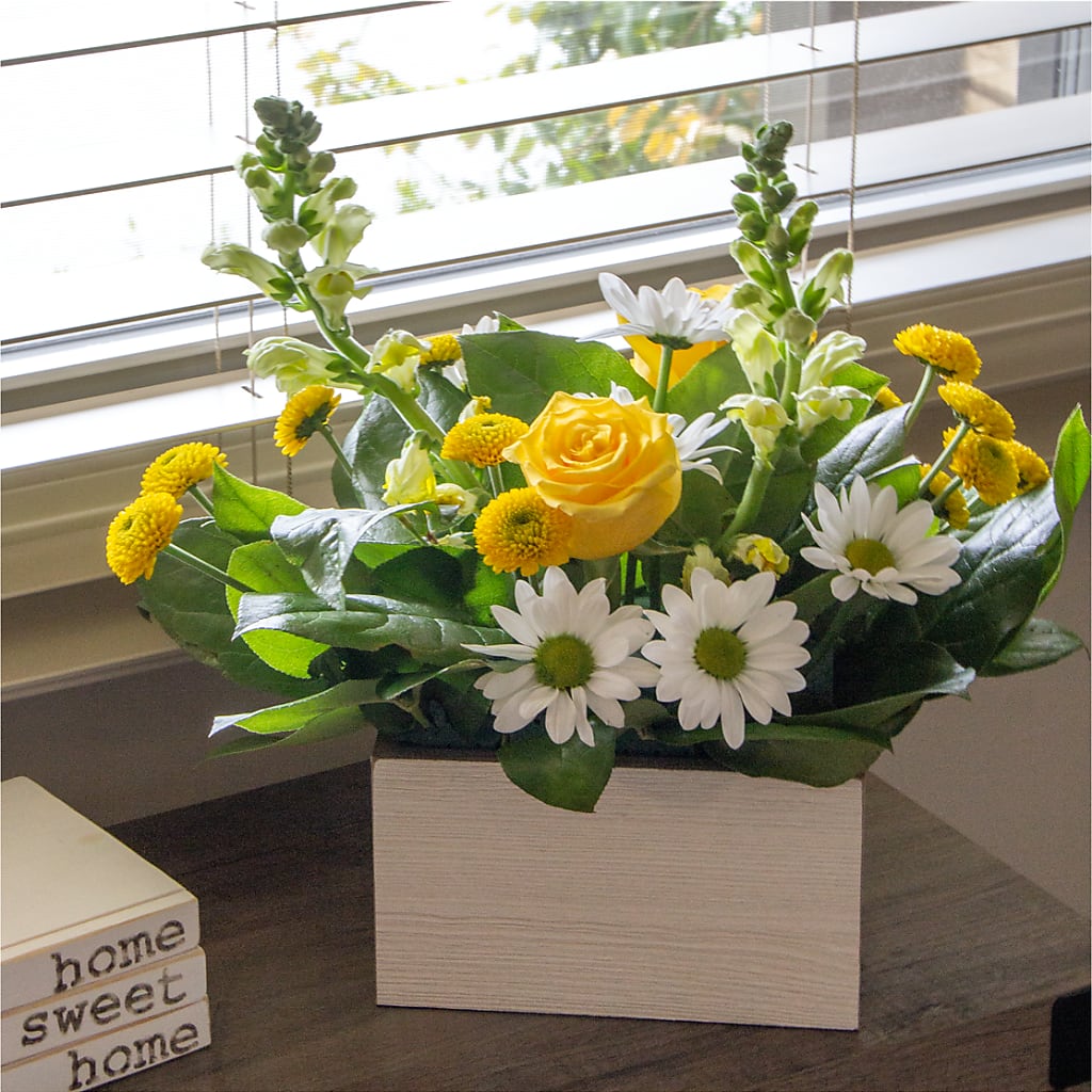 Sun Salutation Box Bouquet –  Colchester Florist, Colchester CT