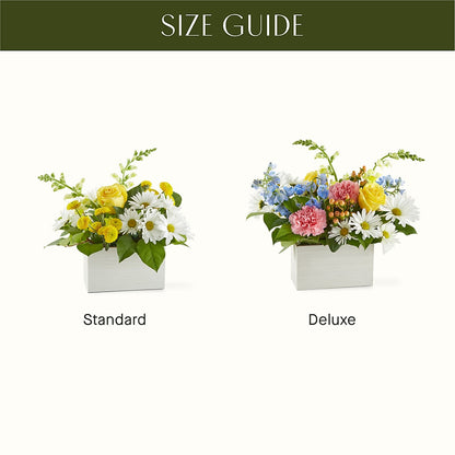 Sun Salutation Box Bouquet –  Colchester Florist, Colchester CT
