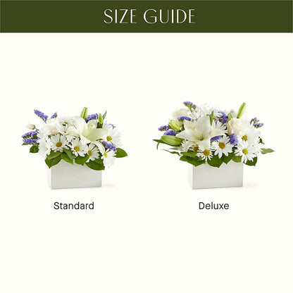 Beyond Blue Box Bouquet –  Colchester Florist, Colchester CT