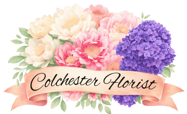 Colchester Florist
