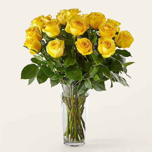 Long Stem Yellow Rose Bouquet –  Colchester Florist, Colchester CT