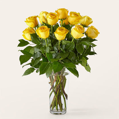 Long Stem Yellow Rose Bouquet –  Colchester Florist, Colchester CT