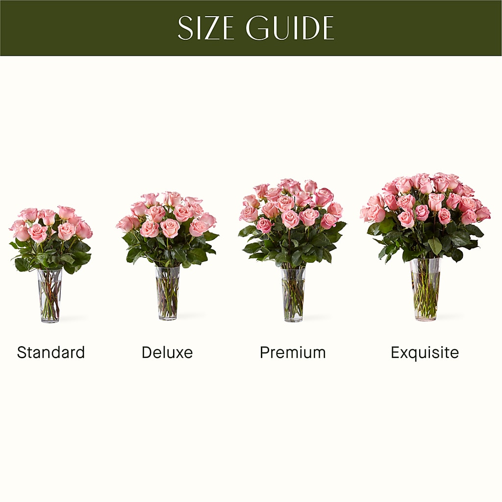 Long Stem Pink Rose Bouquet –  Colchester Florist, Colchester CT