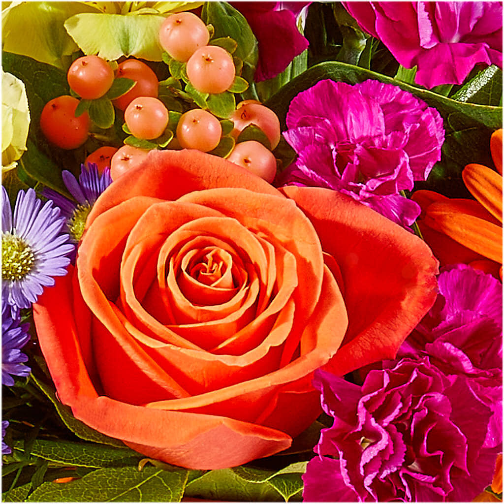 Tricks & Treats Pumpkin –  Colchester Florist, Colchester CT