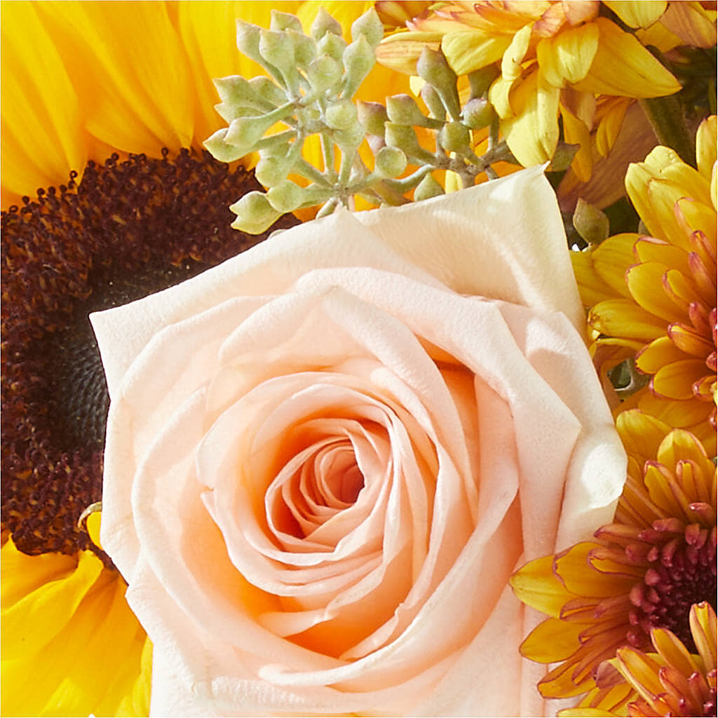 Pumpkin to Talk About Bouquet –  Colchester Florist, Colchester CT