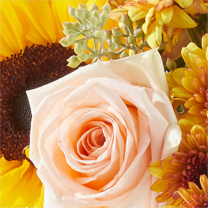 Pumpkin to Talk About Bouquet –  Colchester Florist, Colchester CT