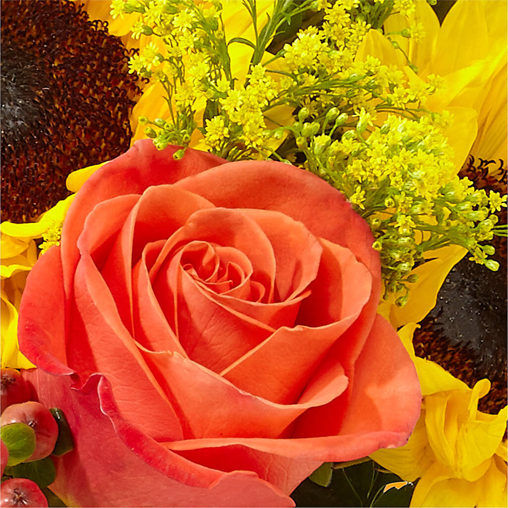 Pick of the Patch Pumpkin Bouquet –  Colchester Florist, Colchester CT
