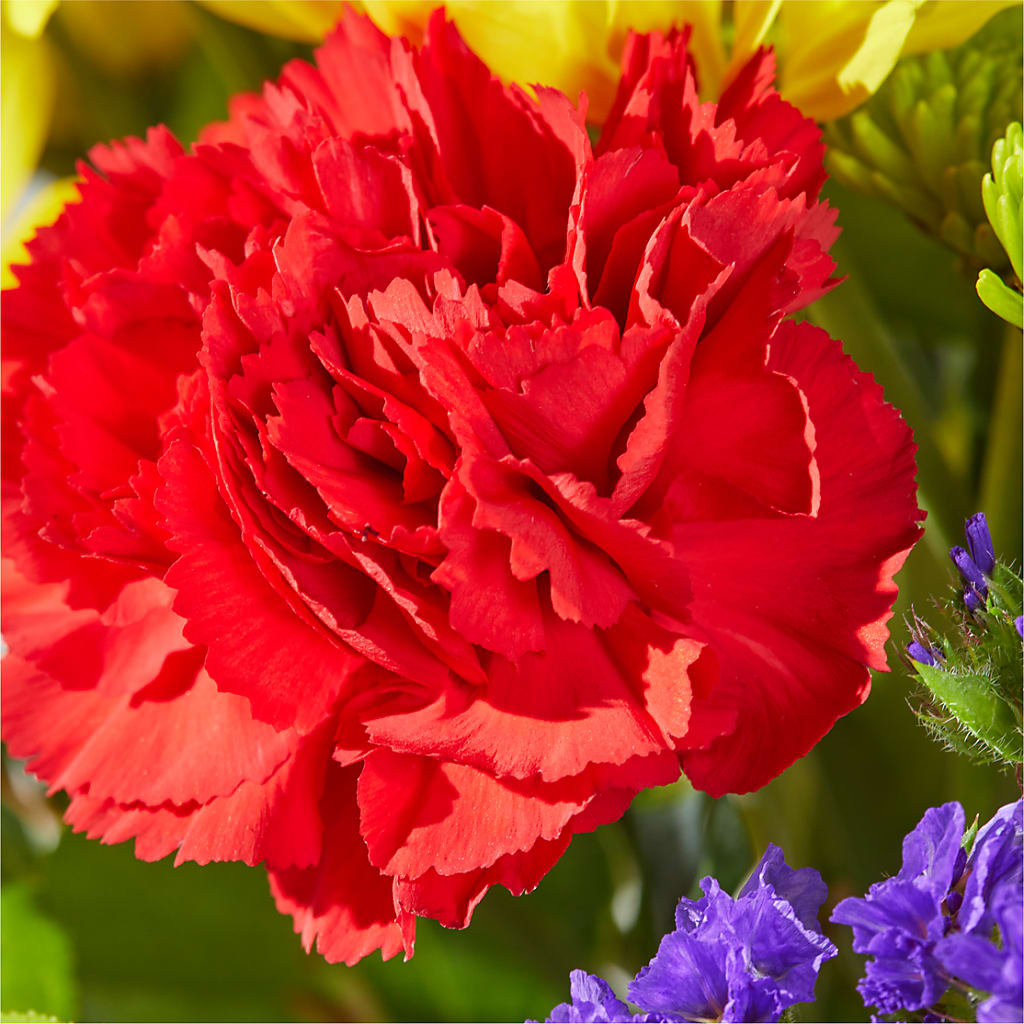 Brighter Days Bouquet –  Colchester Florist, Colchester CT