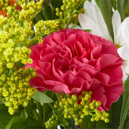 Oopsie Daisy Bouquet –  Colchester Florist, Colchester CT