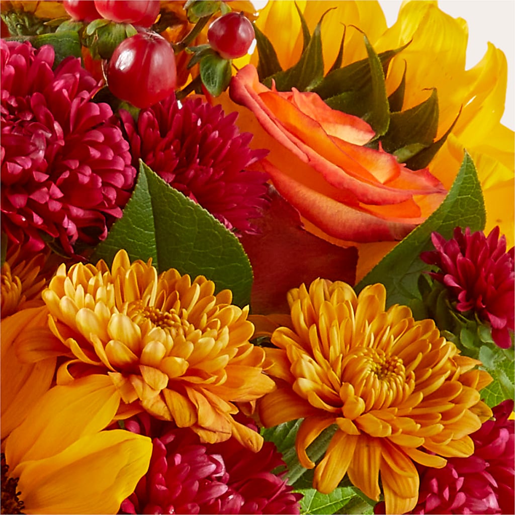 Sweater Season - A Florist Original –  Colchester Florist, Colchester CT