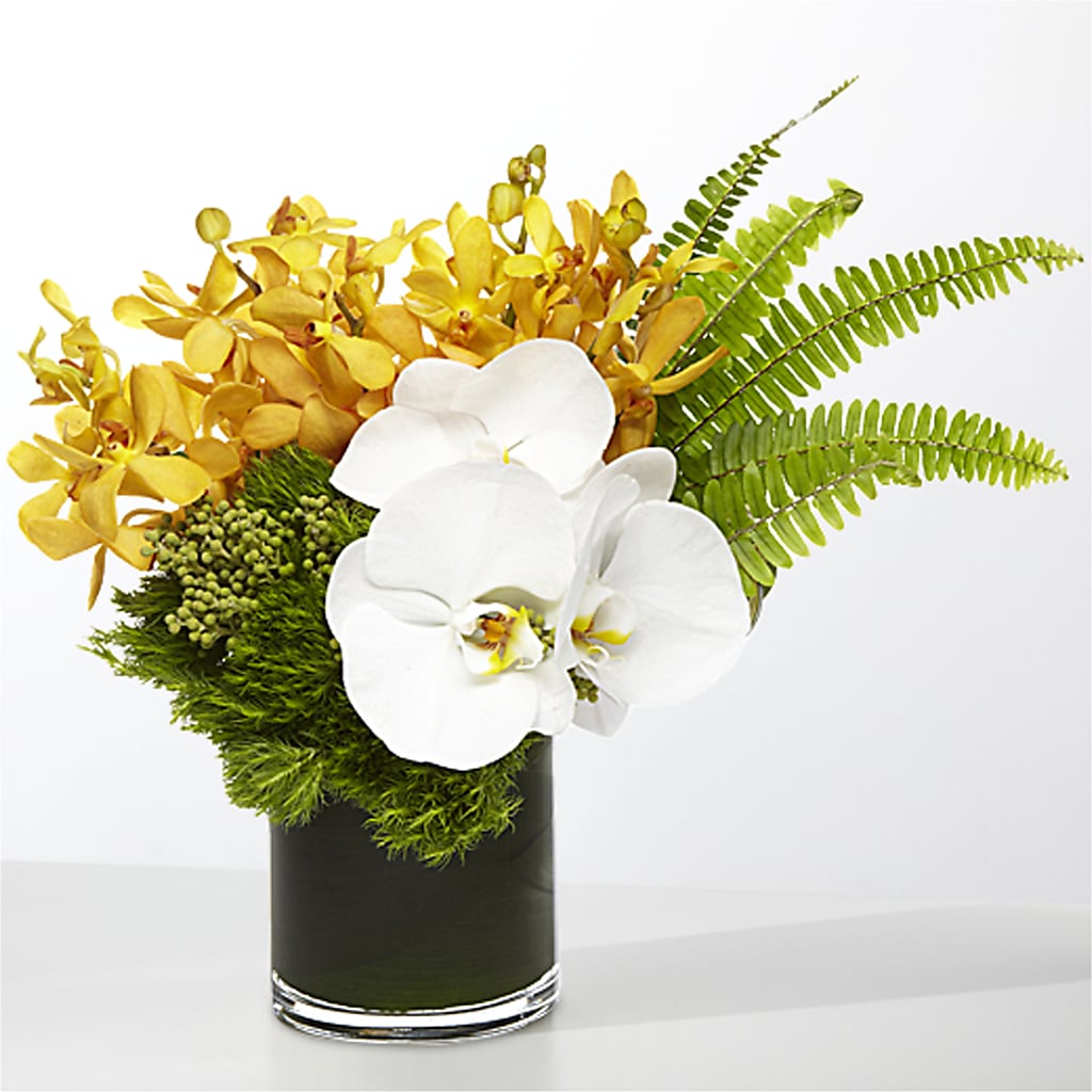 The Tropics –  Colchester Florist, Colchester CT