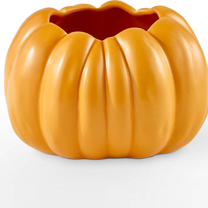 Pick of the Patch Pumpkin Bouquet –  Colchester Florist, Colchester CT
