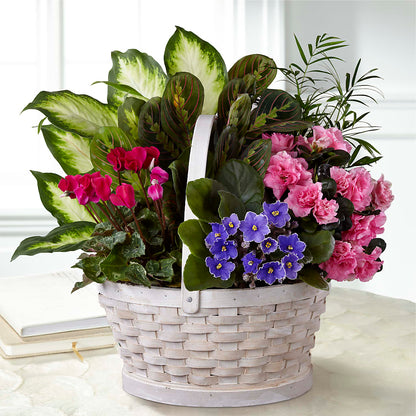 Peaceful Garden Planter –  Colchester Florist, Colchester CT