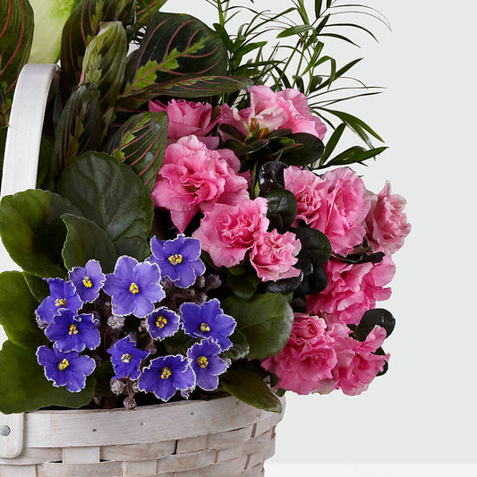 Peaceful Garden Planter –  Colchester Florist, Colchester CT