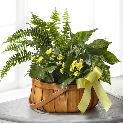 Always Dear Dishgarden –  Colchester Florist, Colchester CT