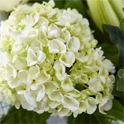 Classic Ivory – A Florist Original –  Colchester Florist, Colchester CT