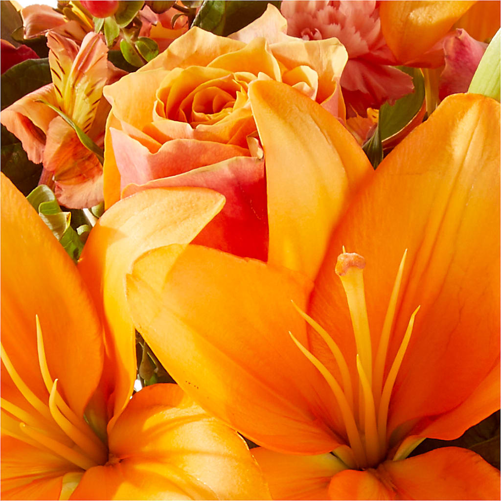 Afternoon Light Bouquet –  Colchester Florist, Colchester CT