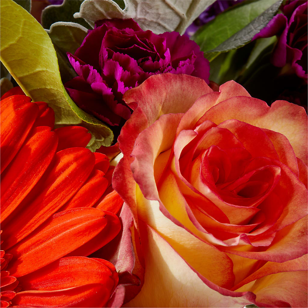 Sangria Bouquet –  Colchester Florist, Colchester CT
