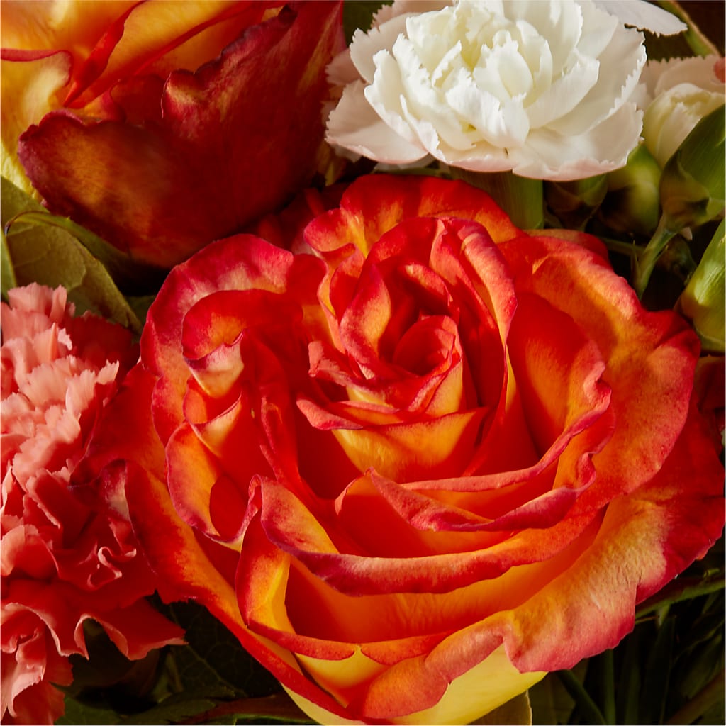 Apricot Glow Bouquet –  Colchester Florist, Colchester CT