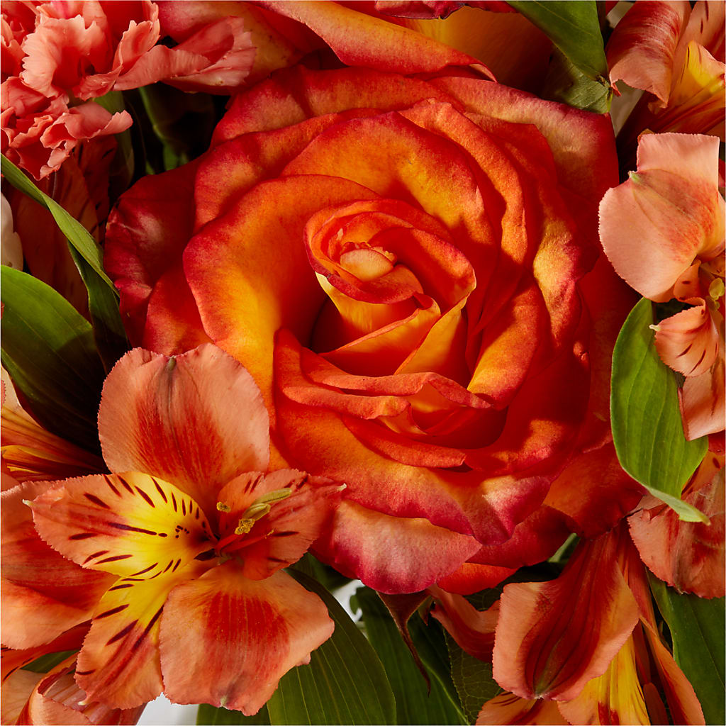 Apricot Glow Bouquet –  Colchester Florist, Colchester CT