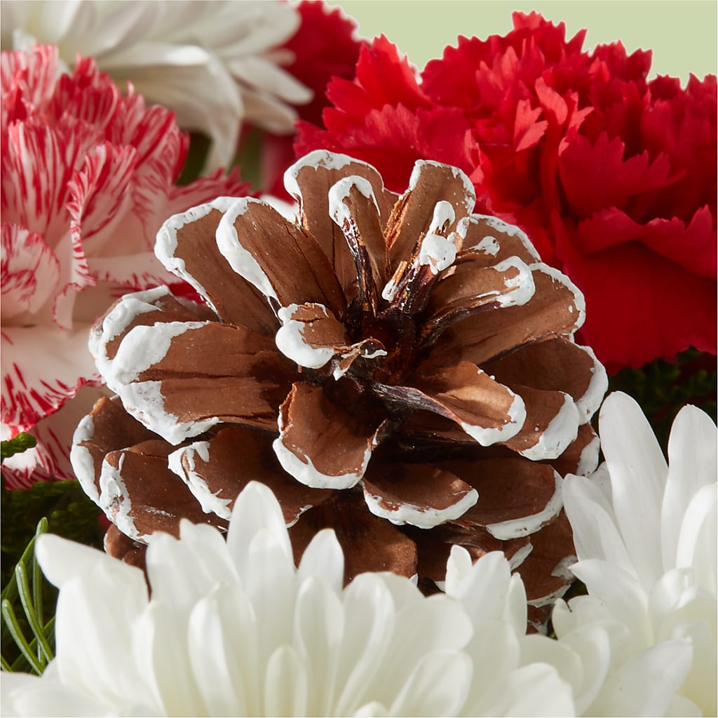 Candy Cane Lane Bouquet –  Colchester Florist, Colchester CT