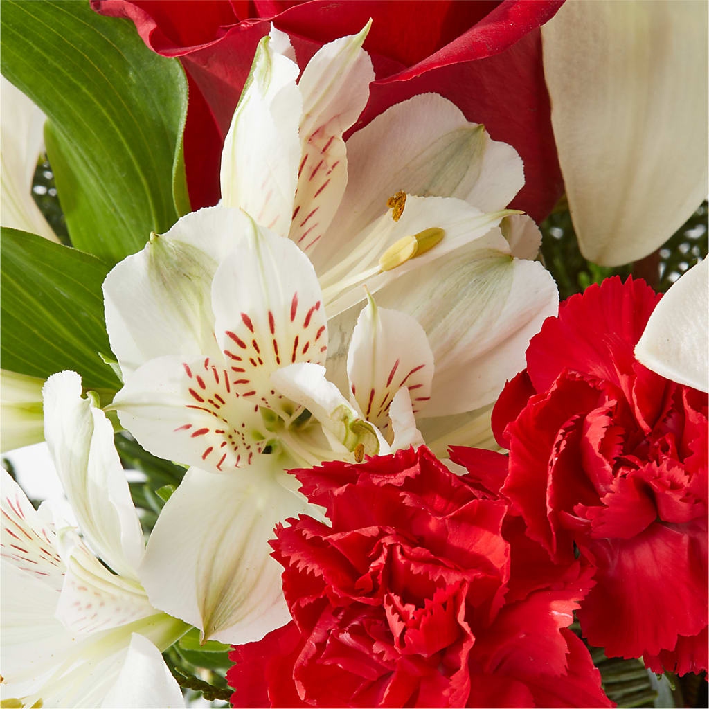 Holiday Season Bouquet –  Colchester Florist, Colchester CT