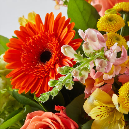 Autumn Sunshine Bouquet –  Colchester Florist, Colchester CT