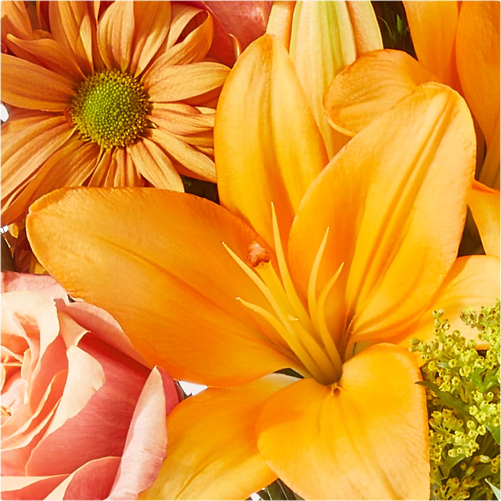 Harvest Hayride Bouquet –  Colchester Florist, Colchester CT