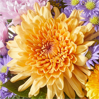 Countryside Bouquet –  Colchester Florist, Colchester CT