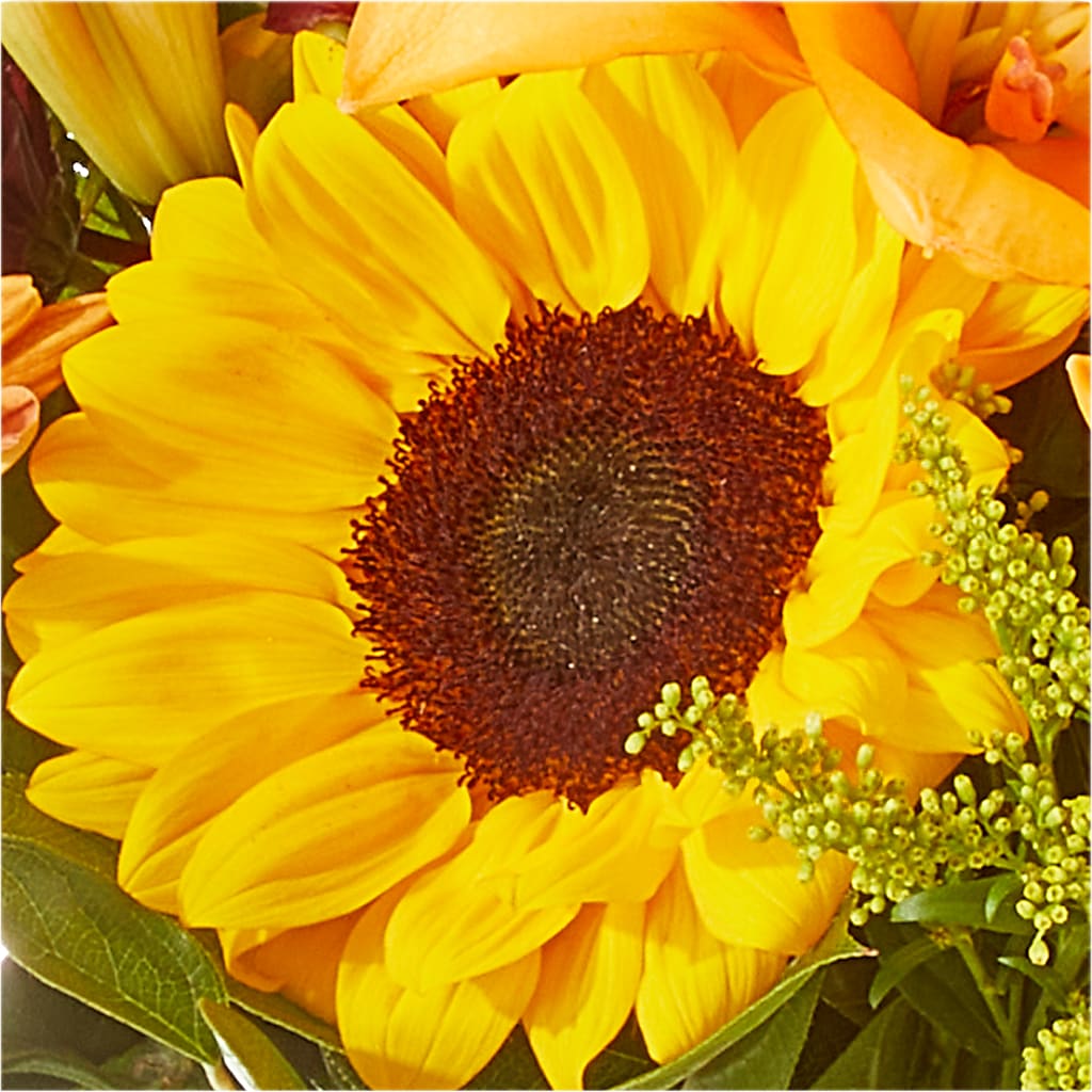 Seasons Change Bouquet –  Colchester Florist, Colchester CT