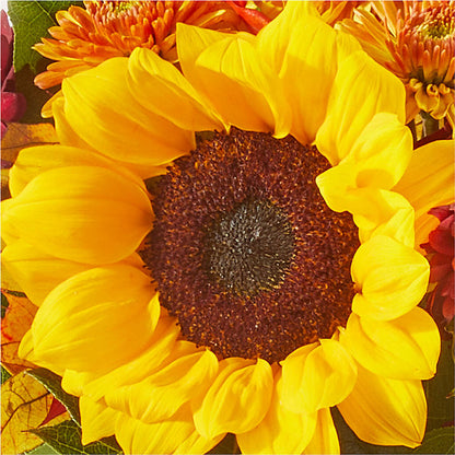 Sunny Side Bouquet –  Colchester Florist, Colchester CT