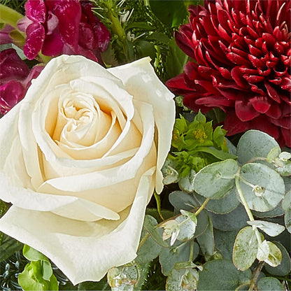Cranberry Fizz Bouquet –  Colchester Florist, Colchester CT
