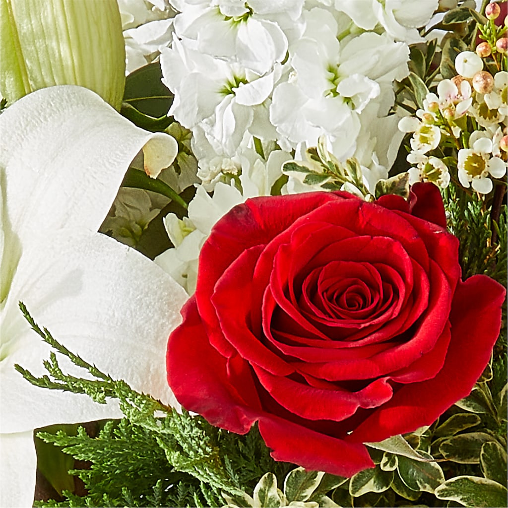 Twinkle Lights Bouquet –  Colchester Florist, Colchester CT