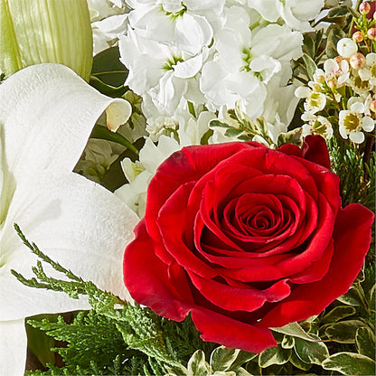 Twinkle Lights Bouquet –  Colchester Florist, Colchester CT