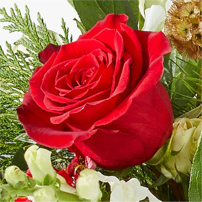 Deck the Halls Bouquet –  Colchester Florist, Colchester CT