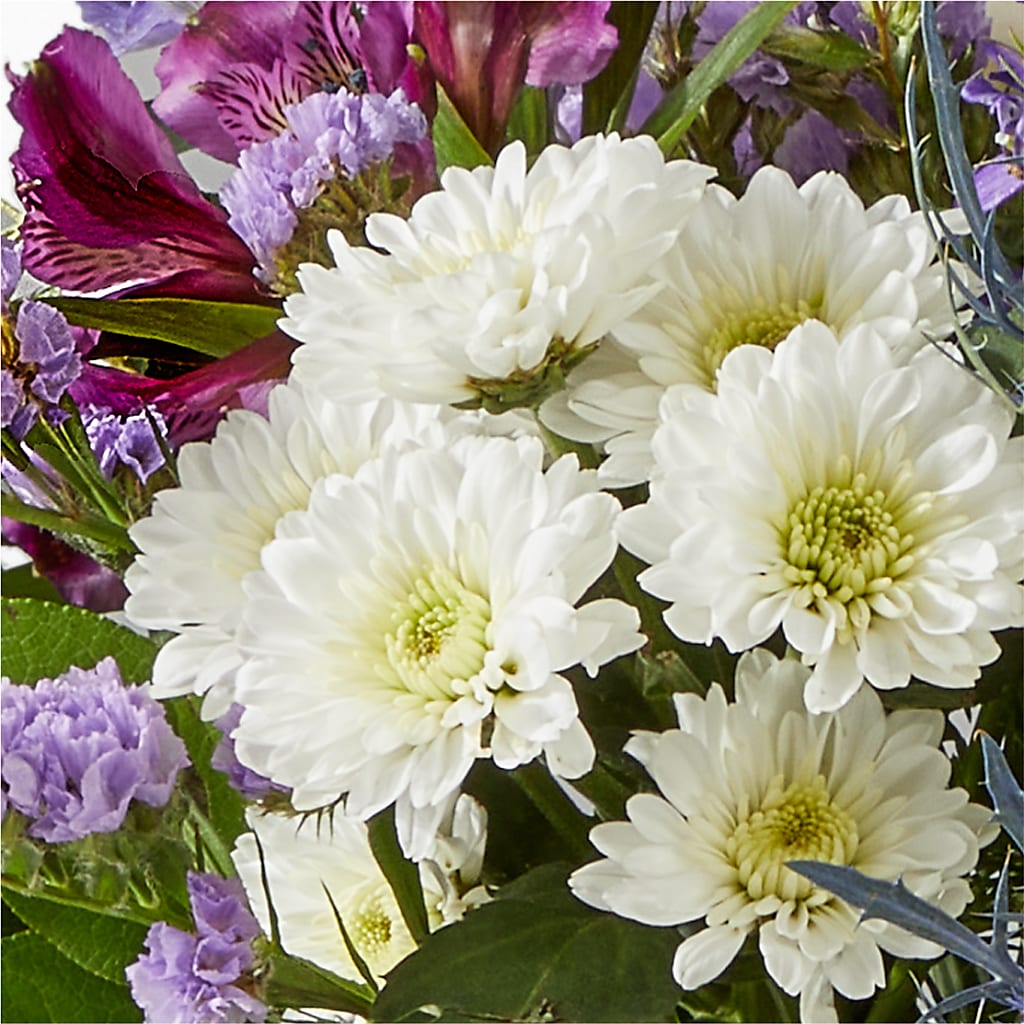 Shooting Star Bouquet –  Colchester Florist, Colchester CT
