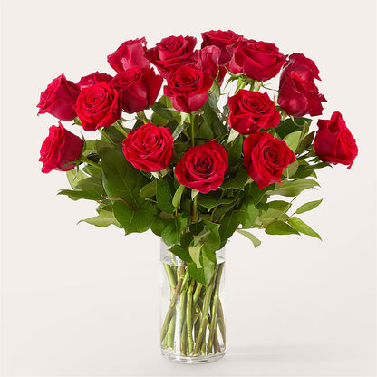 The One Red Rose Bouquet –  Colchester Florist, Colchester CT